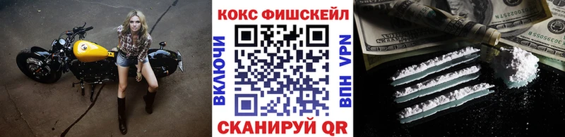 OMG вход Шали COCAIN FishScale