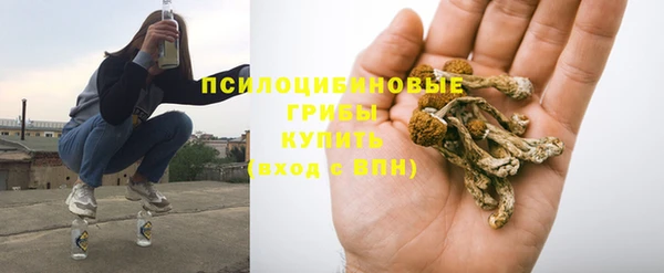 ГАЛЛЮЦИНОГЕННЫЕ ГРИБЫ Зеленокумск