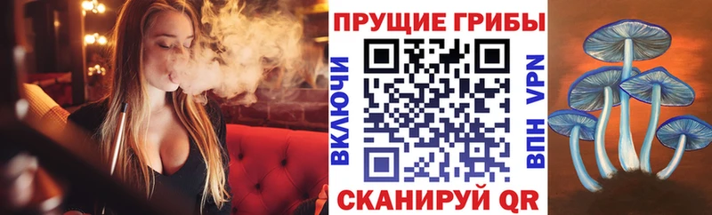 Галлюциногенные грибы мухоморы  blacksprut зеркало  Шали 